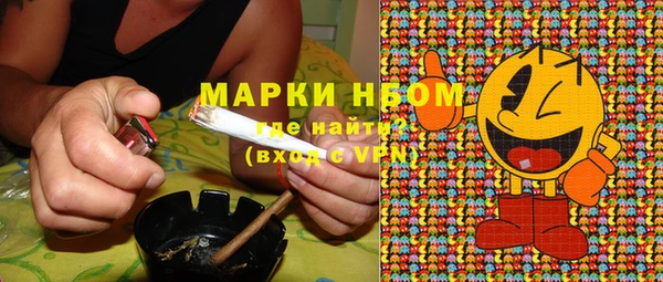 индика Баксан