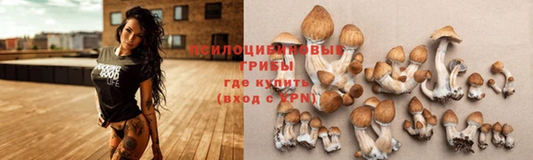 ГАЛЛЮЦИНОГЕННЫЕ ГРИБЫ Балабаново