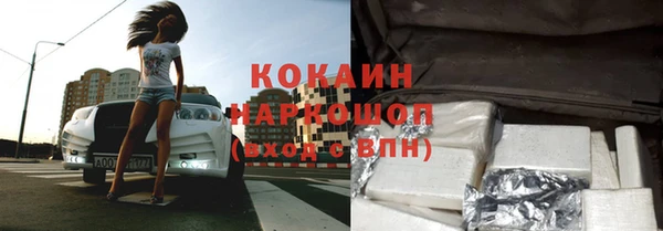 индика Баксан