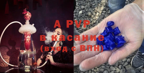 индика Баксан