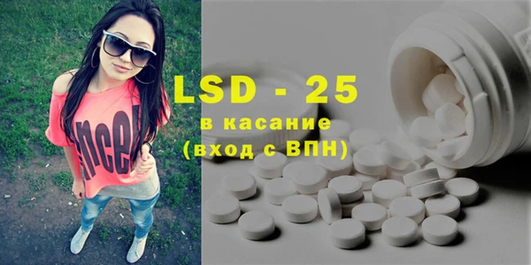 индика Баксан