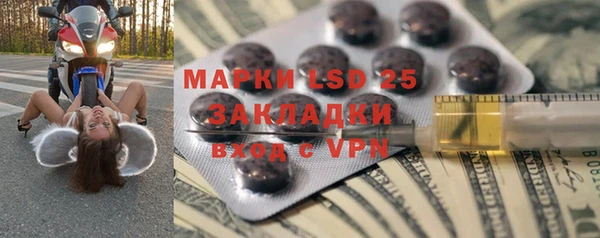 индика Баксан