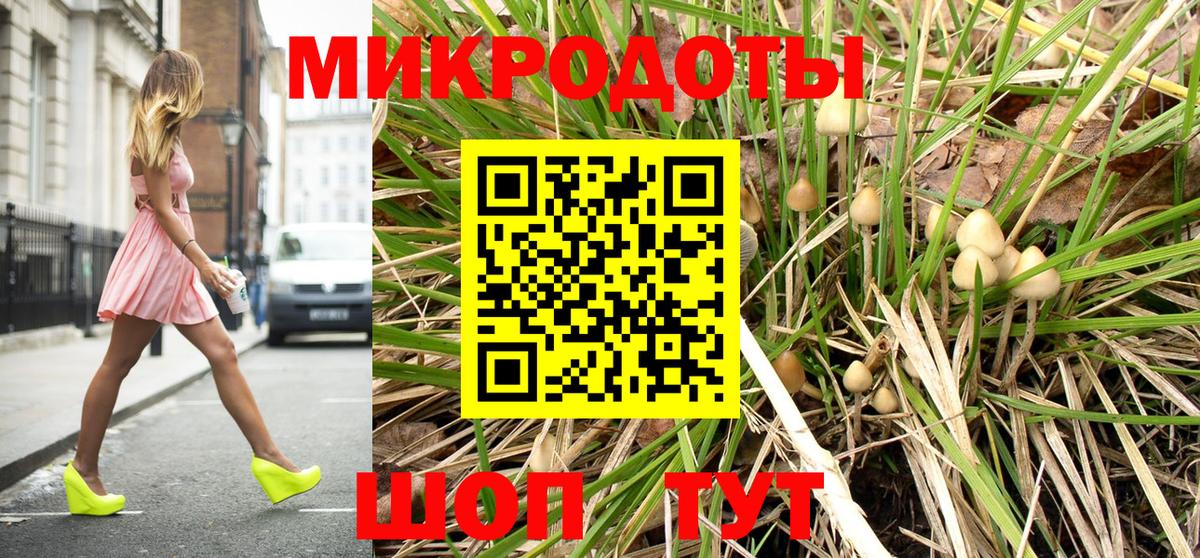 Каспийск  Галлюциногенные грибы Psilocybine cubensis  Вход с VPN  Псилоцибиновые грибы прущие грибы 