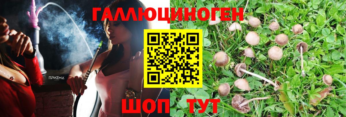 Галлюциногенные грибы мицелий Каспийск